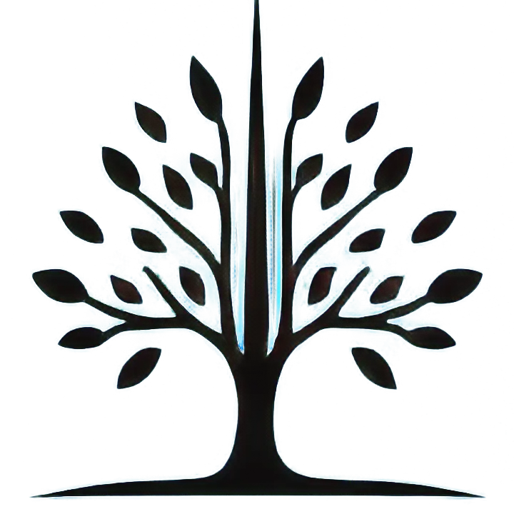 SAS & CO חשבות שכר place picture